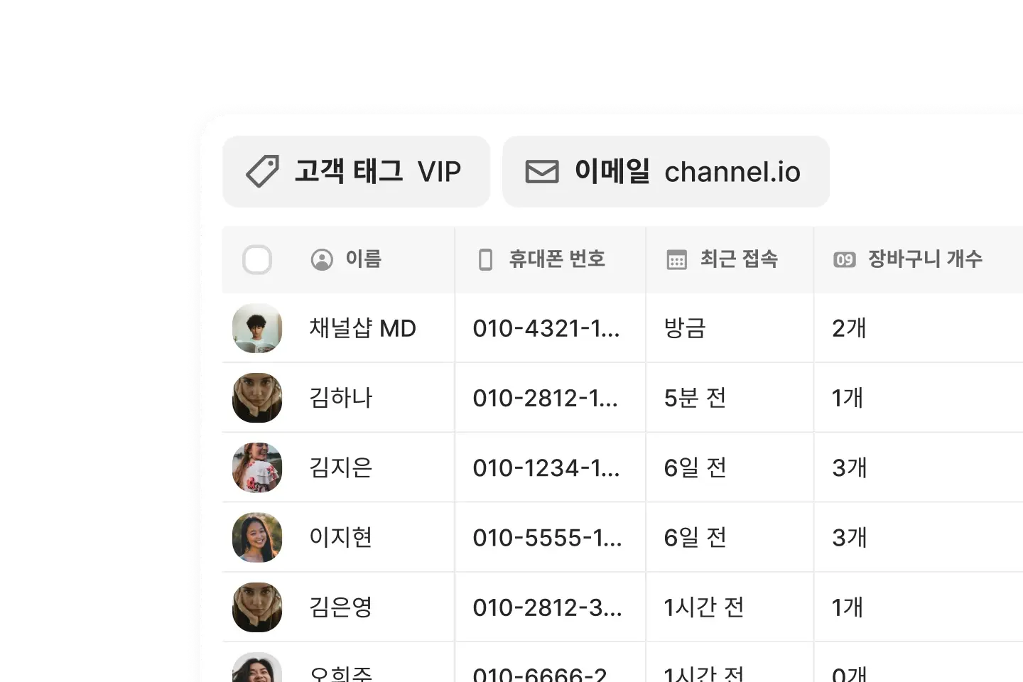 CRM customer search interface